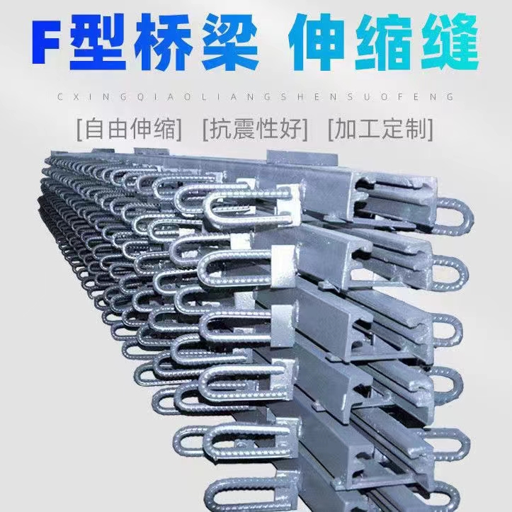 F�͘�����s�p